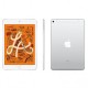 Apple iPad Mini 5 7.9 inch MUXD2 Wi-Fi and Cellular 256GB Silver